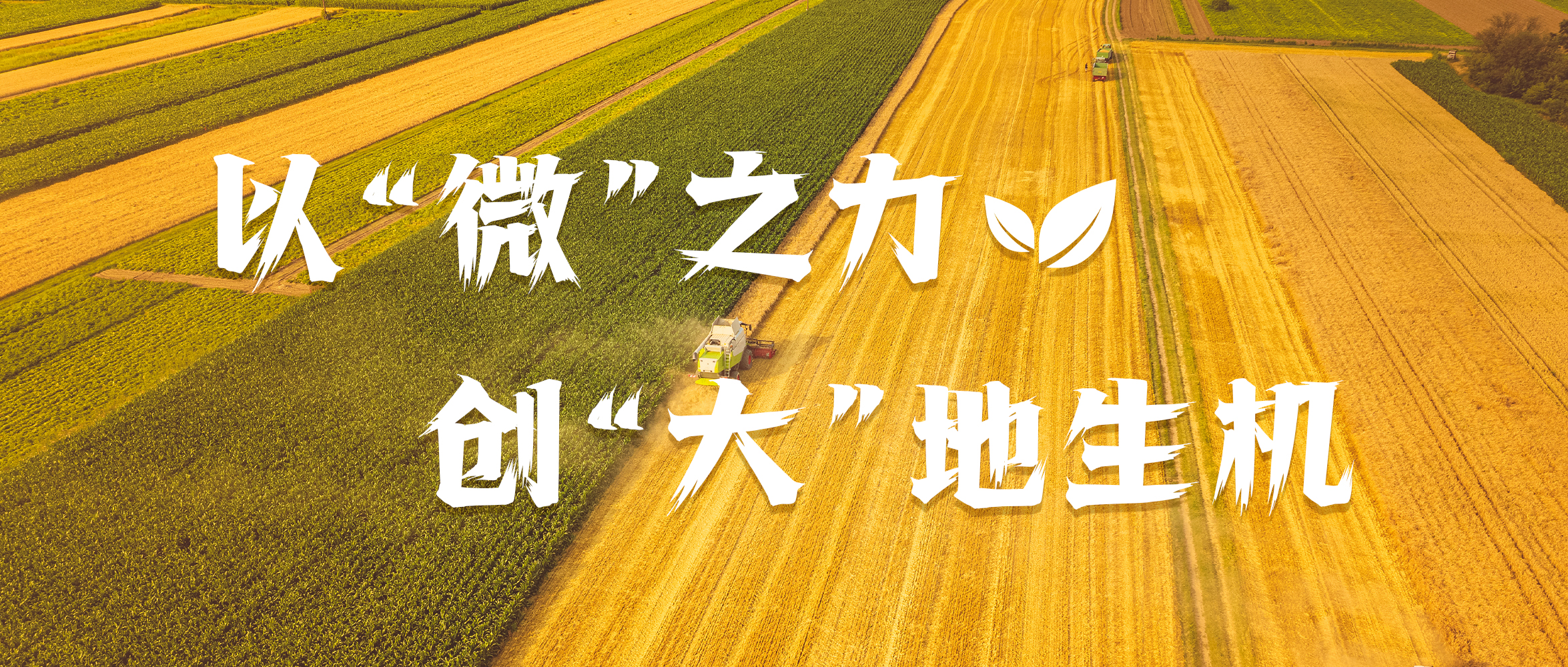 &#24320;&#20113;&#40;&#20013;&#22269;&#41;&#75;&#97;&#105;&#121;&#117;&#110;